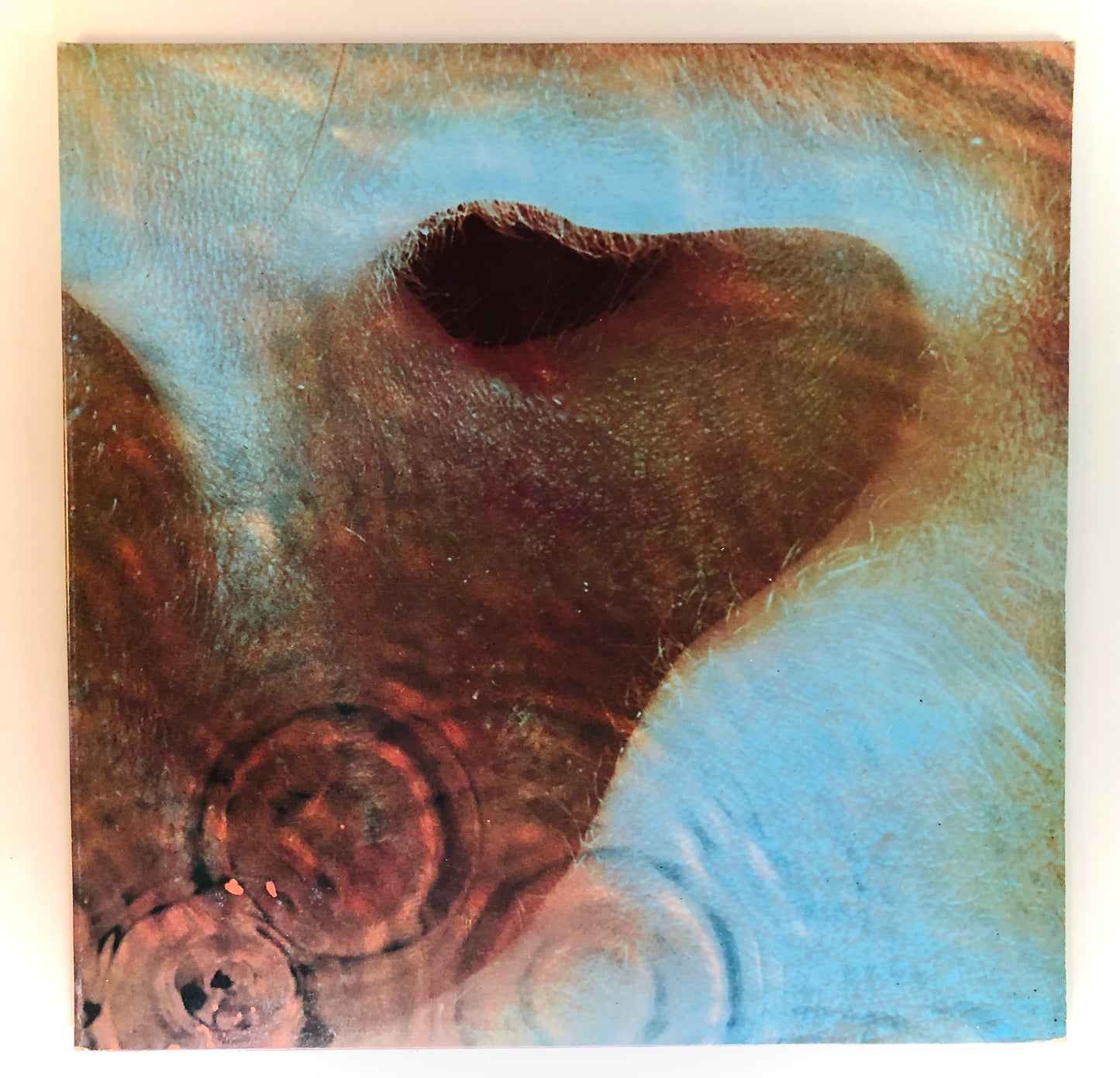 Pink Floyd - Meddle - Vinile Nero (Black Vinyl) (Harvest - 1982)