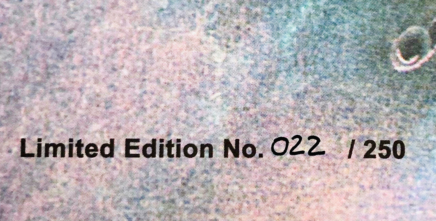 Detto Mariano - Il Giustiziere della Strada - Doppio Vinile Nero (Ed. Lim. 250 copie)