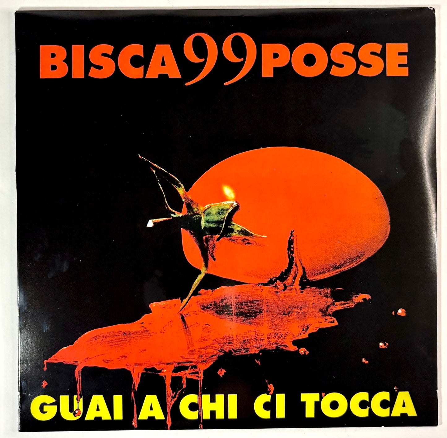 BISCA 99 POSSE - Guai a chi ci tocca - Vinile Nero (180 grammi / Ed. 2022)