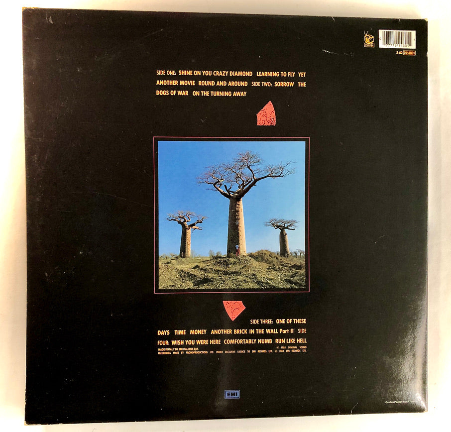 PINK FLOYD - Delicate Sound of Thunder - Doppio Vinile Nero (1988)