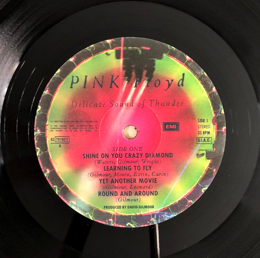 PINK FLOYD - Delicate Sound of Thunder - Doppio Vinile Nero (1988)