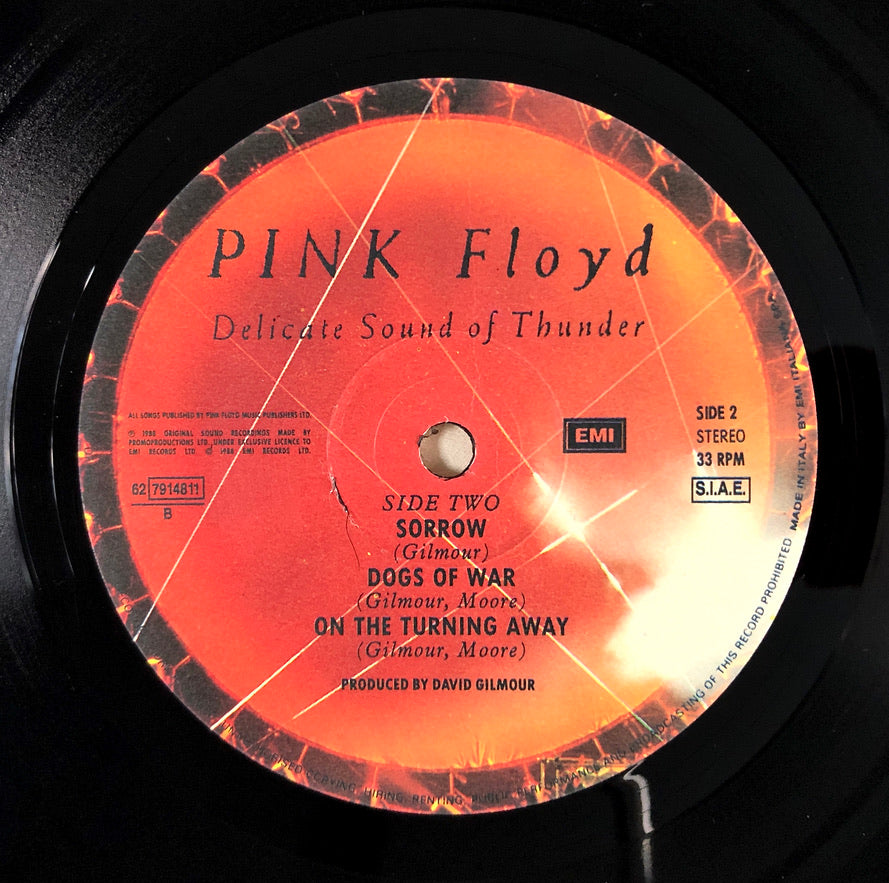 PINK FLOYD - Delicate Sound of Thunder - Doppio Vinile Nero (1988)