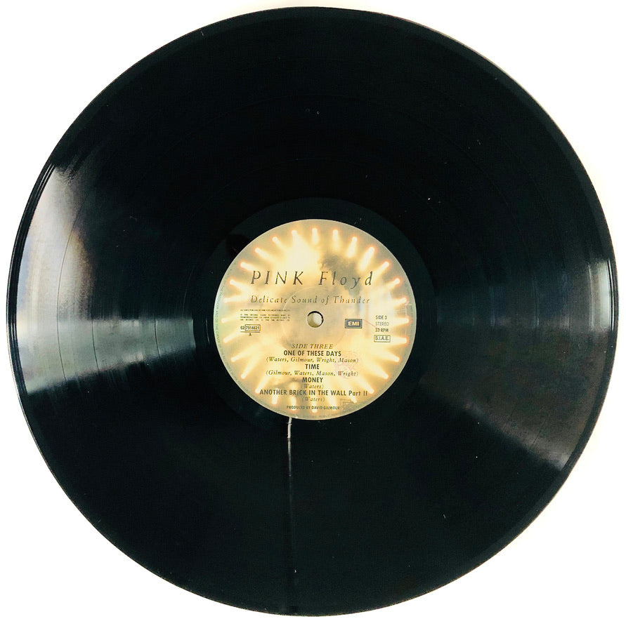 PINK FLOYD - Delicate Sound of Thunder - Doppio Vinile Nero (1988)