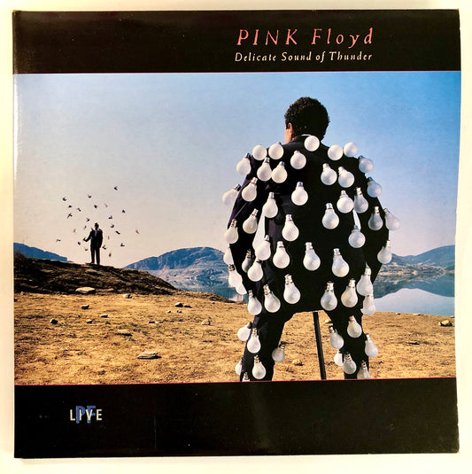 PINK FLOYD - Delicate Sound of Thunder - Doppio Vinile Nero (1988)