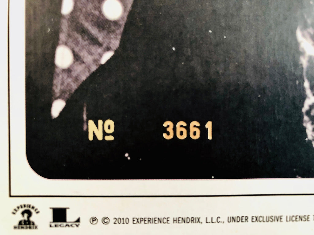 THE JIMI HENDRIX EXPERIENCE - Are you experienced - Vinile Nero Audiofilo (2010)