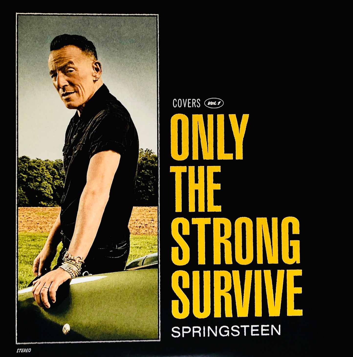 BRUCE SPRINGSTEEN - Only the strong survive - Doppio Vinile Arancione Trasparente